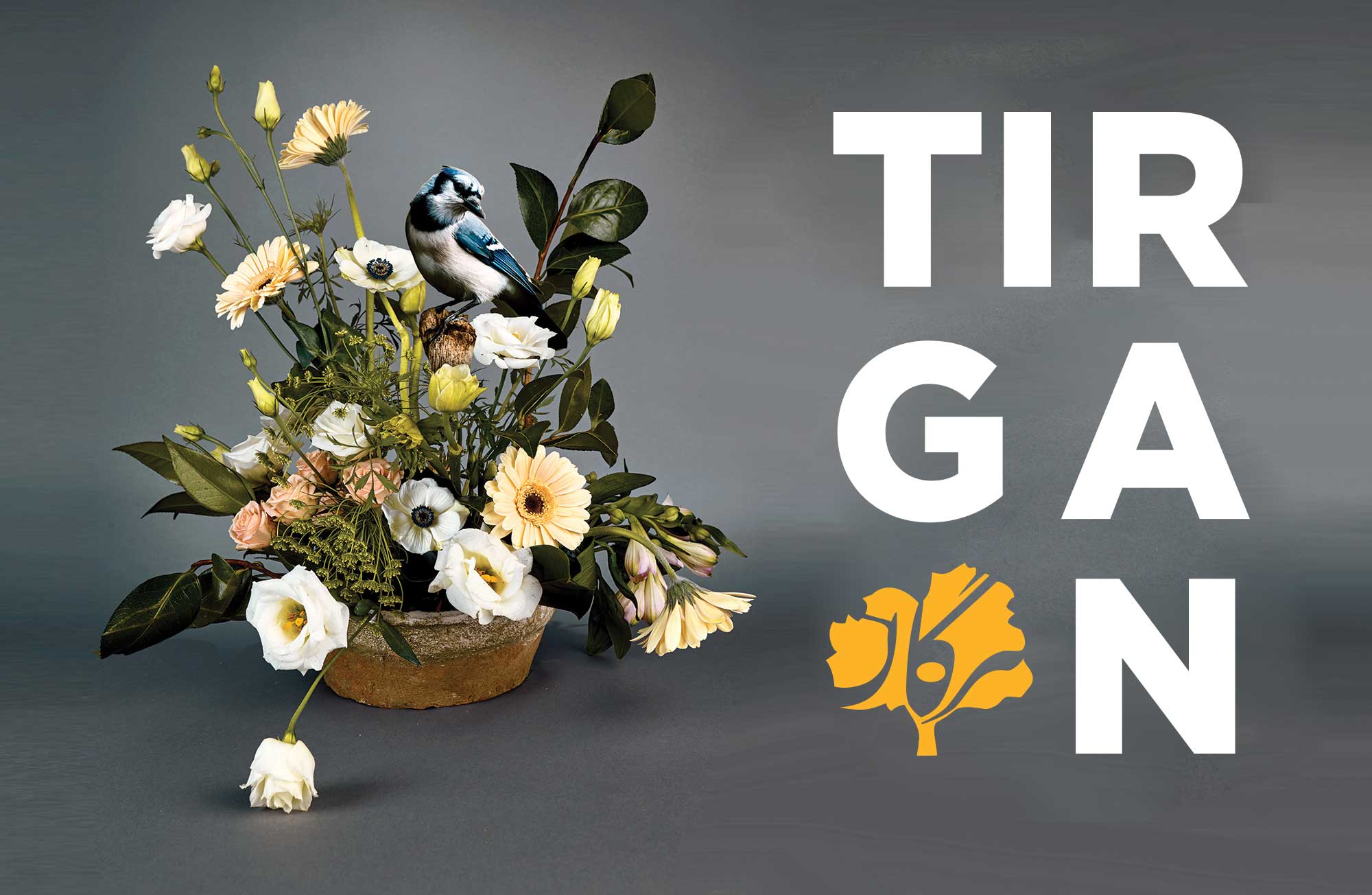 Toronto Summer Festival Tirgan Festival 2019