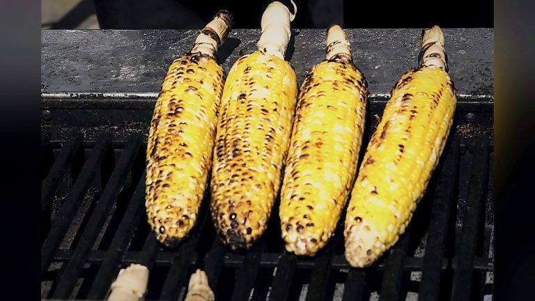 Corn grilling at the festival food stalls, Tirgan 2013